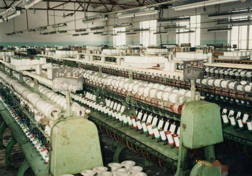 吳江民營經(jīng)濟領跑江蘇 財務咨詢的關鍵角色